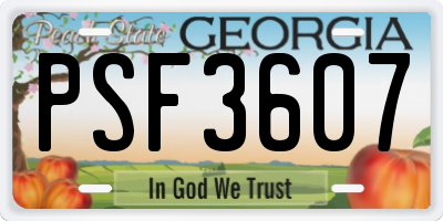 GA license plate PSF3607