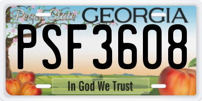 GA license plate PSF3608