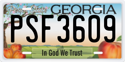 GA license plate PSF3609