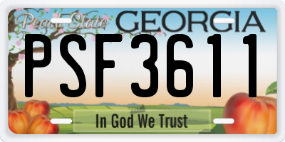 GA license plate PSF3611
