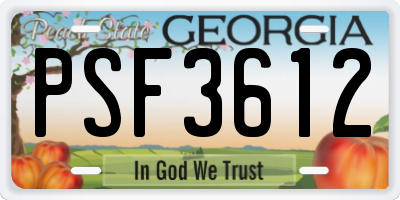 GA license plate PSF3612