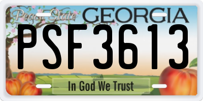 GA license plate PSF3613