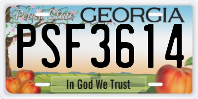 GA license plate PSF3614