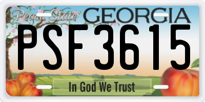 GA license plate PSF3615