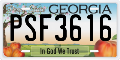 GA license plate PSF3616