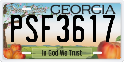 GA license plate PSF3617