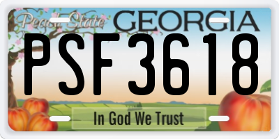 GA license plate PSF3618