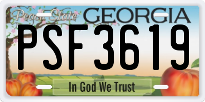 GA license plate PSF3619