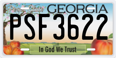 GA license plate PSF3622