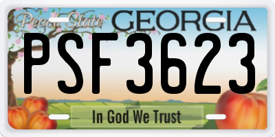 GA license plate PSF3623