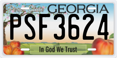 GA license plate PSF3624