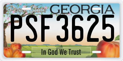 GA license plate PSF3625