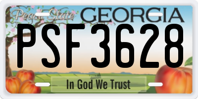 GA license plate PSF3628
