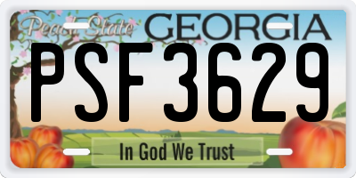 GA license plate PSF3629