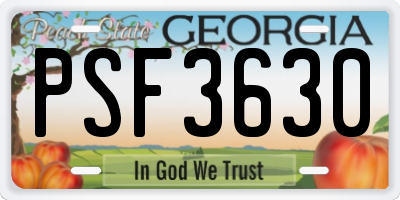 GA license plate PSF3630