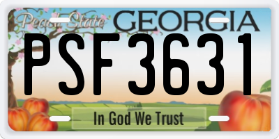 GA license plate PSF3631