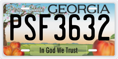 GA license plate PSF3632