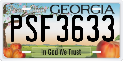 GA license plate PSF3633