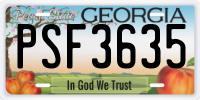 GA license plate PSF3635