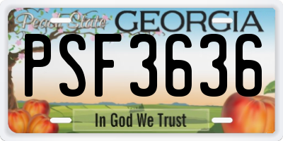 GA license plate PSF3636