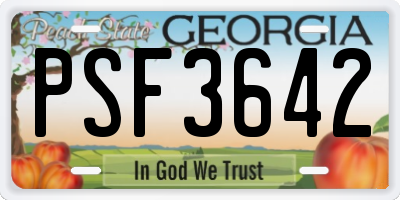 GA license plate PSF3642