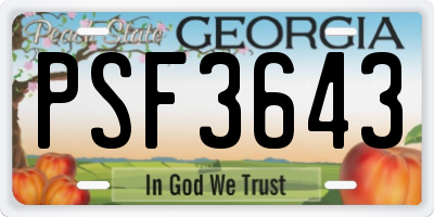 GA license plate PSF3643