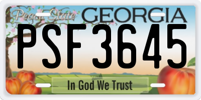 GA license plate PSF3645