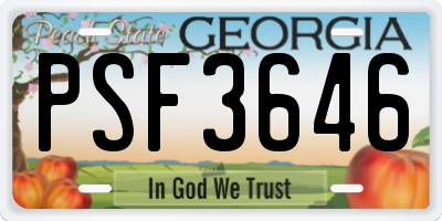 GA license plate PSF3646