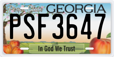 GA license plate PSF3647