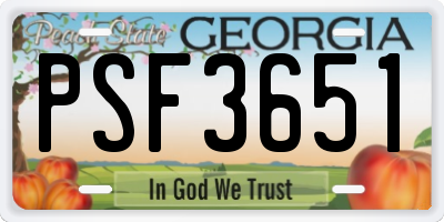 GA license plate PSF3651