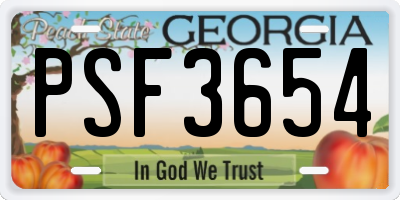 GA license plate PSF3654