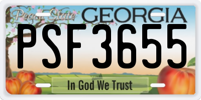 GA license plate PSF3655