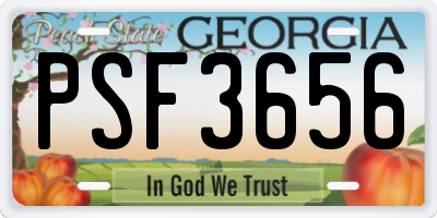GA license plate PSF3656