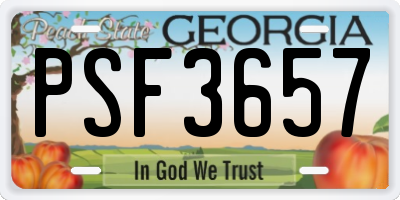 GA license plate PSF3657