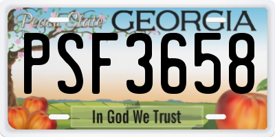 GA license plate PSF3658