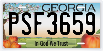 GA license plate PSF3659
