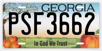 GA license plate PSF3662