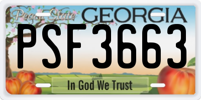 GA license plate PSF3663