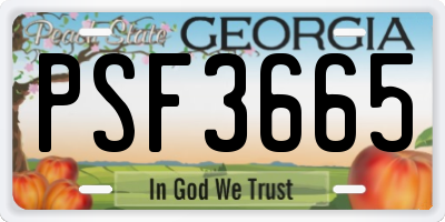 GA license plate PSF3665