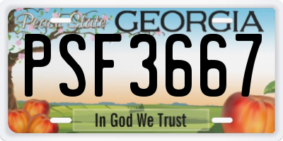 GA license plate PSF3667