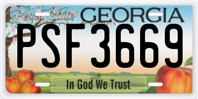 GA license plate PSF3669