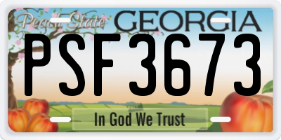 GA license plate PSF3673