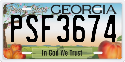 GA license plate PSF3674