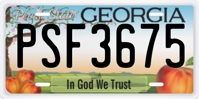 GA license plate PSF3675