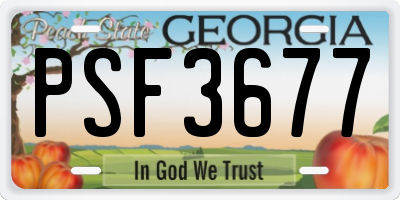 GA license plate PSF3677
