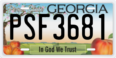 GA license plate PSF3681