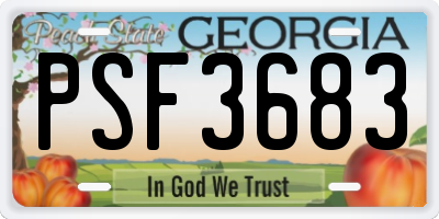 GA license plate PSF3683
