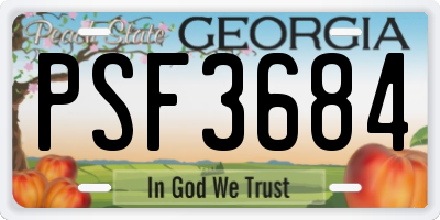 GA license plate PSF3684