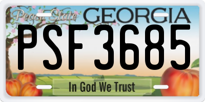 GA license plate PSF3685
