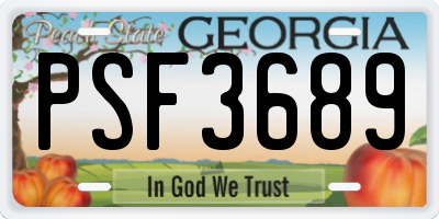 GA license plate PSF3689